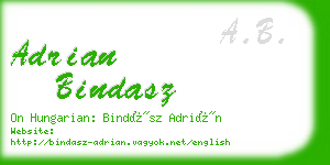 adrian bindasz business card